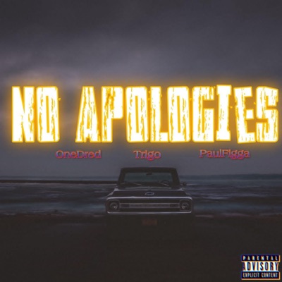 NO APOLOGIES (feat. Trigo & PaulFigga) - Single