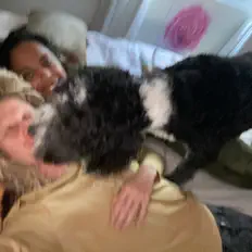 DJ Lactaid을(를) 듣고, 뮤직 비디오를 보고, 약력을 읽고, 투어 일정 등을 확인하세요!