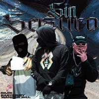 Sin Seguro - Single - Baby Cripy, Wander Bill & Riúri