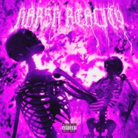 Harsh Reality - Single - PRESTY & RAUDI.$tuart