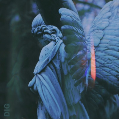 Dig - Single