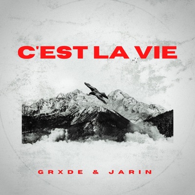 C'est La Vie - Single
