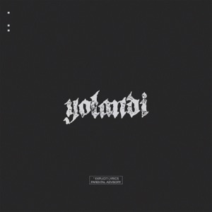 Yolandi