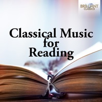 Piano Concerto No. 14 in E flat major, K. 449 Andantino
