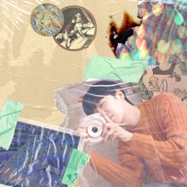 Diary (Instrumental) Unchan