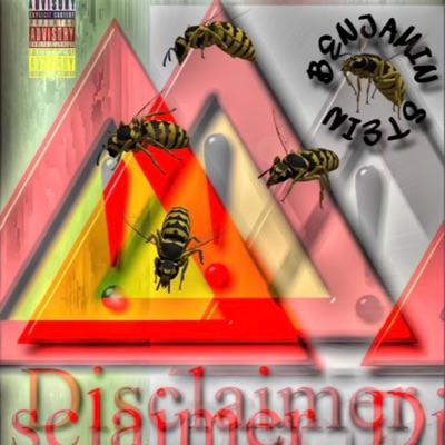 Disclaimer (feat. J.Hustles & drug$onwar) - Single
