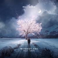 Without You - Single - ROY KNOX & CRVN