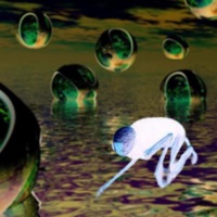 Twtil - Single - Myö