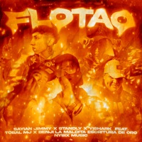 Flotao - Single - Sayian Jimmy, Standly, Yishark, Tobal Mj, Benji La Maldita Escritura De Oro & Nysix Music