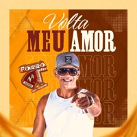 Volta Meu Amor - Single - Forró do 14