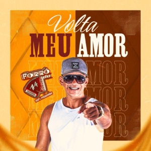 Volta Meu Amor