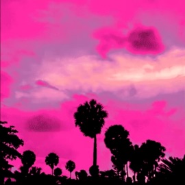 me/you? (feat. NO11 & nv) Ka$him