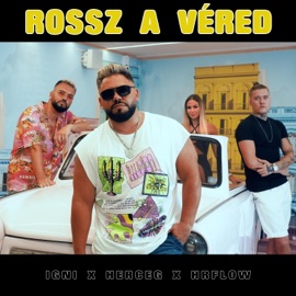 Rossz a véred (feat. Herceg & HRflow) Igni