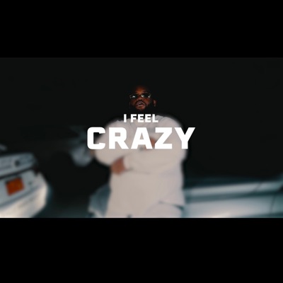 Feel Crazy - Single