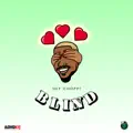 Blind (SOCA 2023)