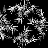 Dona Dona - Single - ArtDéco