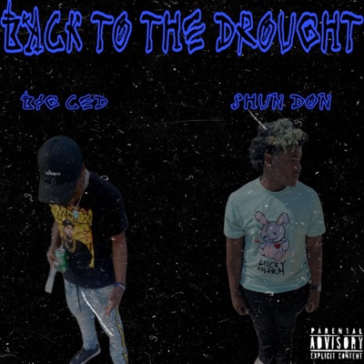 Back To The Drought (feat. Shun Don) - Single