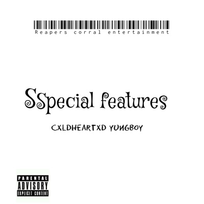 Special features (feat. Cxldheartxd yungboy) - Single