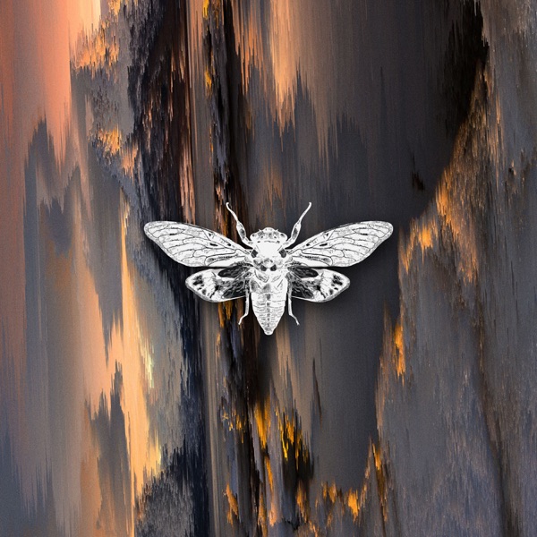 Impressum - Single