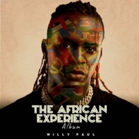 The African Experience - Willy Paul