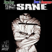 Insane (feat. Yung Flex) - Single - Tyson El Dominicano