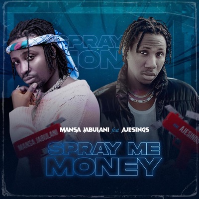 Spray Me Money (feat. Ajesings) - Single