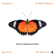 The Age Of Love (Solomun Renaissance Remix) - Age of Love