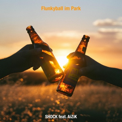 Flunkyball im Park (feat. AiZiK) - Single