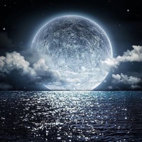 O.V.E.R - Single - OverDose