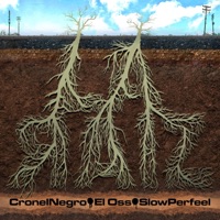 La Raiz (feat. El Oss, Cronelnegro & Nico Bustamante) - Single - Slow Perfeel