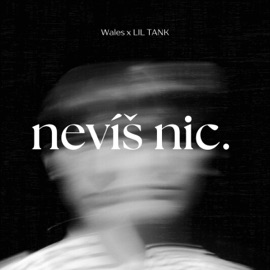 nevíš nic. (feat. LIL TANK) Wales