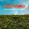 Wachsamer Nachbar - Single