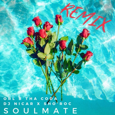 SoulMate (feat. DJ NICAR & ORL B THA CODA) [Remix] - Single