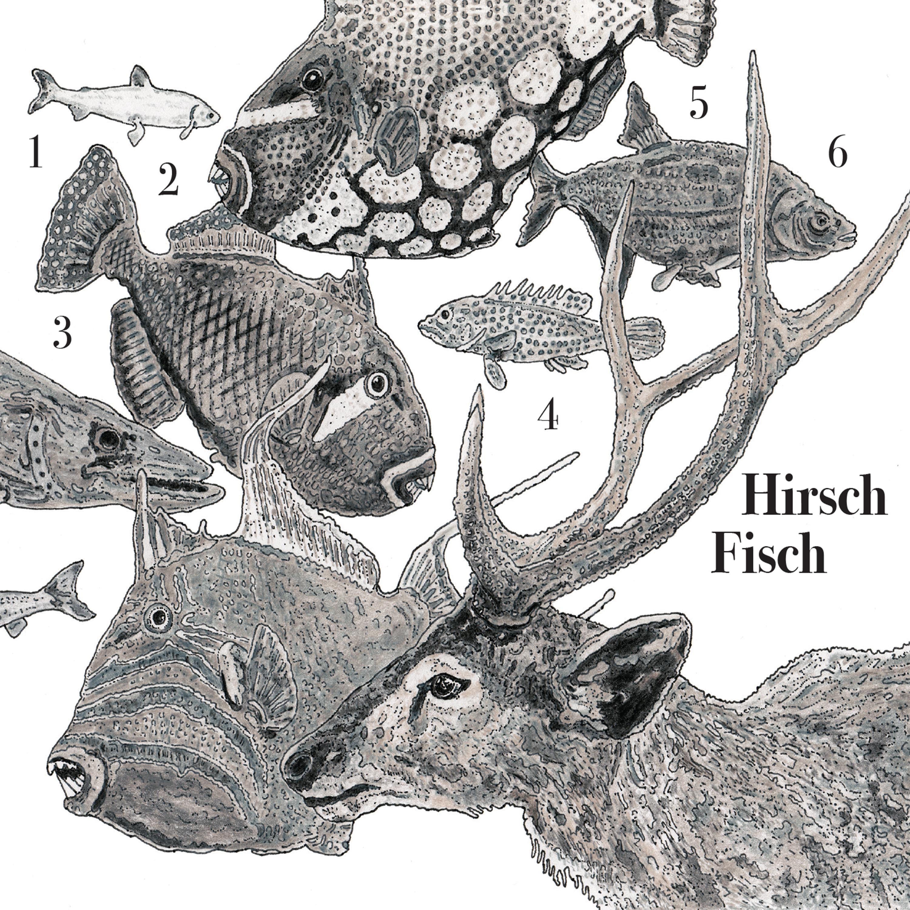 1 2 3 4 5 6 Hirsch Fisch
