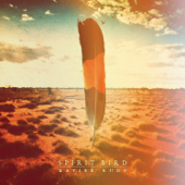 Spirit Bird cover
