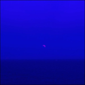 My Wilted Lover In My Dreams of Blue - Single