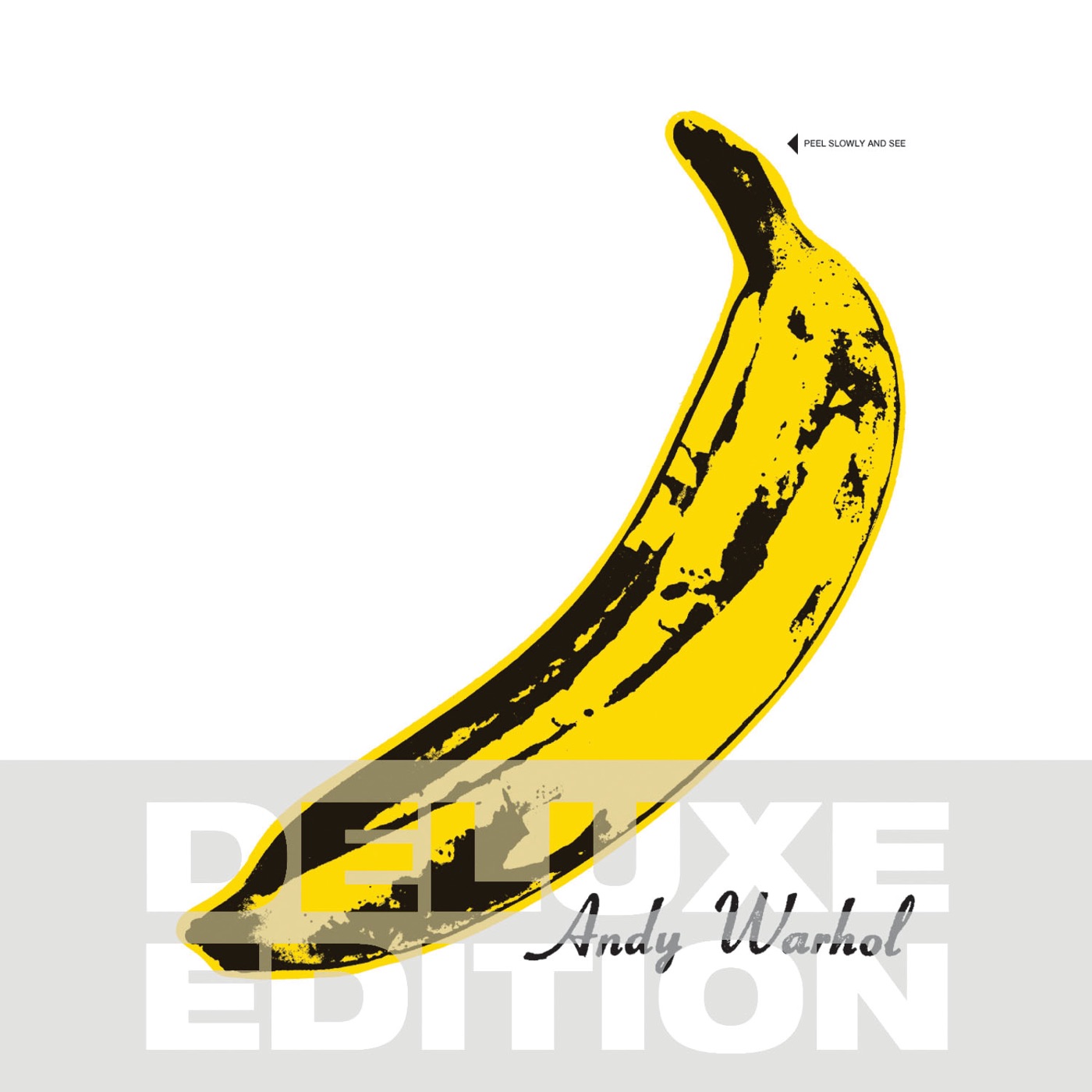 The Velvet Underground & Nico 45th Anniversary by The Velvet Underground, Nico