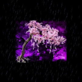 ДОЖДИ сердце тьмы & SAVEWHAT