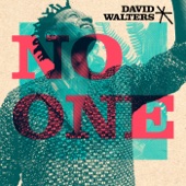 David Walters - No One