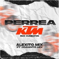 Perrea KTM (feat. Joancito Mix) [Cumbiaton] - Single - Alexito Mix
