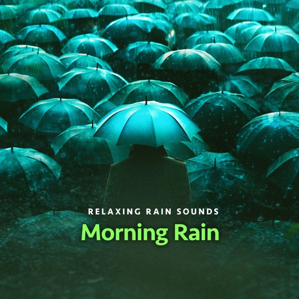 Morning Rain