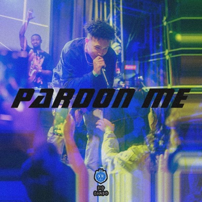 Pardon Me - Single