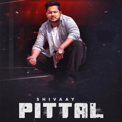 Pittal (feat. Dev Ocean) - Single