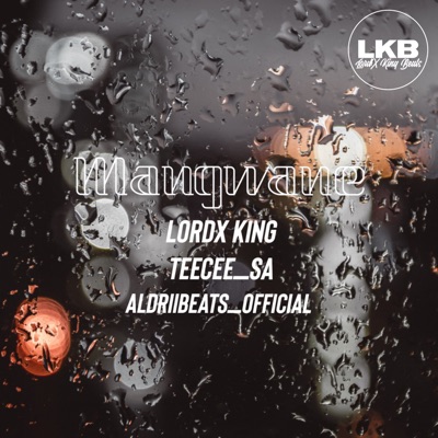 Mangwane (feat. TeeCee & Aldriibeats_official) - Single