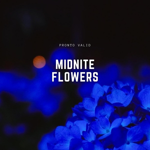 Midnite Flowers