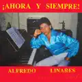 Rumbero bravo