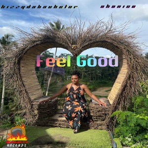 Feel Good (feat. Shanice)