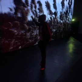 OX! (feat. Sossa Ka$h) eyto