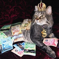 Fake 2 - Single - Kasta