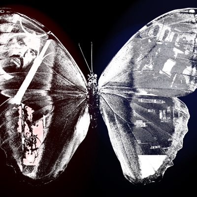 At S2ne Konmuş Kaos Kelebekleri - EP